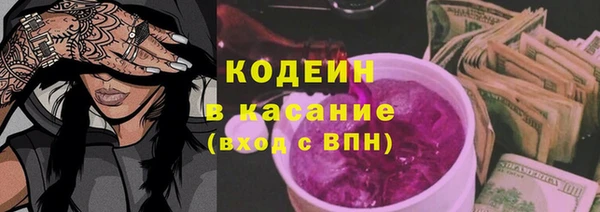 шишки Арсеньев
