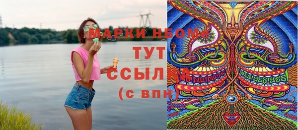 шишки Арсеньев