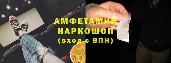 шишки Арсеньев