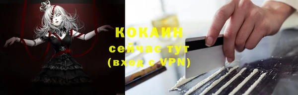 PSILOCYBIN Аркадак