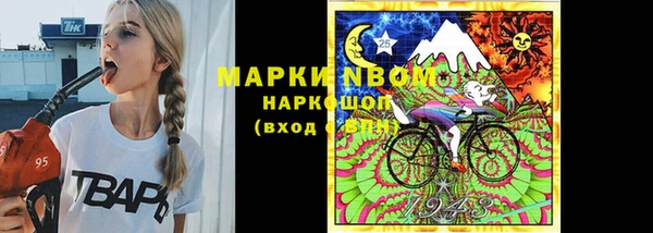 шишки Арсеньев