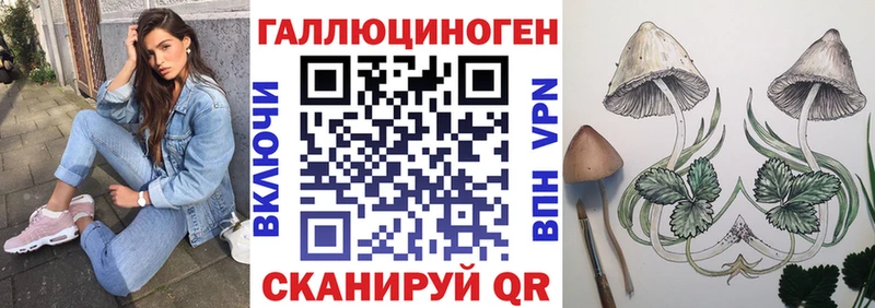 MEGA рабочий сайт  Талдом  Галлюциногенные грибы MAGIC MUSHROOMS 