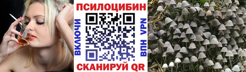Галлюциногенные грибы прущие грибы Талдом